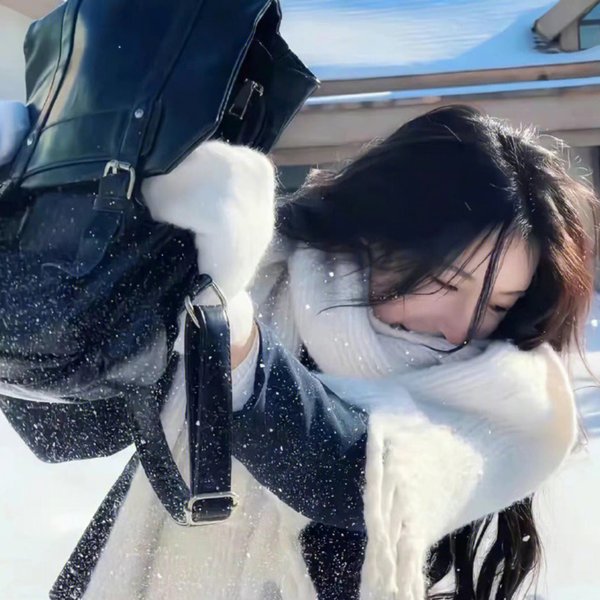 粉红豹系列:偷香窃玉